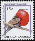 Colnect-576-457-Magnificent-Frigatebird-Fregata-magnificens.jpg