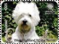 Colnect-6233-608-West-Highland-white-terrier.jpg