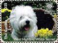 Colnect-6233-611-West-Highland-white-terrier.jpg