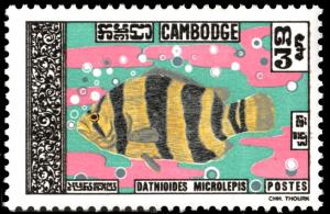 Colnect-2777-189-Siamese-Tigerfish-Coius-microlepis.jpg