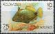 Colnect-5639-396-Orange-lined-Triggerfish-Balistapus-undulatus.jpg