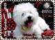 Colnect-6233-610-West-Highland-white-terrier.jpg