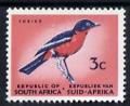 Colnect-779-866-Crimson-breasted-Shrike-Laniarius-atrococcineus-redrawn.jpg
