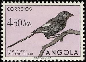Colnect-1762-544-Magpie-Shrike-Corvinella-melanoleuca.jpg