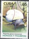 Colnect-2299-382-Cuban-Land-Snail-Polymita-picta-ssp-muscarum.jpg