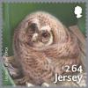 Colnect-4950-816-Wildlife-baby-owl.jpg