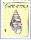Colnect-2506-596-Cuba-Tree-Snail-Liguus-fasciatus-crenatus.jpg
