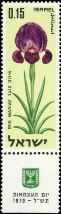 Colnect-2597-971-Israeli-Wild-Flowers---Iris-Mariae.jpg
