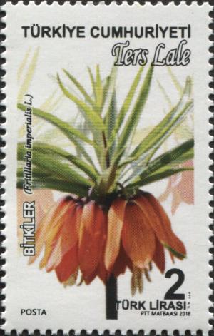 Colnect-5612-486-Fritillaria-Imperialis-L.jpg