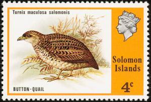 Red-backed-Buttonquail-Turnix-maculosus.jpg