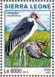 Colnect-3566-115-Marabou-Stork---Leptoptilos-crumenifer-and-Pied-Kingfisher-%E2%80%A6.jpg