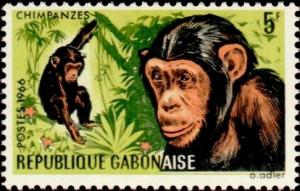 Colnect-2523-704-Common-Chimpanzee-Pan-troglodytes.jpg