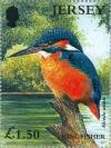 Colnect-127-926-Common-Kingfisher-Alcedo-atthis.jpg