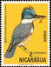 Colnect-1625-998-Belted-Kingfisher-Ceryle-alcyon.jpg