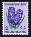Colnect-2192-575-Common-Hyacinth-Hyacinthus-orientalis.jpg