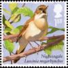 Colnect-4271-524-Common-Nightingale-Luscinia-megarhynchos.jpg