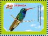 Colnect-4523-287-Broad-billed-Hummingbird----Cynanthus-latirostris.jpg