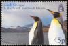 Colnect-4571-625-King-Penguin-Aptenodytes-patagonicus.jpg