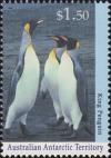 Colnect-4714-587-King-Penguin-Aptenodytes-patagonicus.jpg