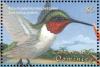 Colnect-5250-544-Ruby-throated-Hummingbird-nbsp-Archilochus-colubris.jpg
