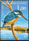 Colnect-536-312-Common-Kingfisher-Alcedo-atthis.jpg