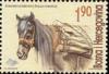 Colnect-565-870-Bosnian-Mountain-Horse-Equus-ferus-caballus.jpg