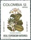 Colnect-5858-582-Chinchona-ovalifolia.jpg