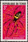 Colnect-894-225-Senegal-Orb-Weaving-Spider-Nephila-senegalense.jpg