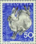 Colnect-140-283-Mountain-hare-Lepus-timidus.jpg