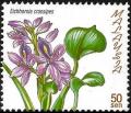 Colnect-4140-250-Water-Hyacinth-Eichhornia-crassipes.jpg