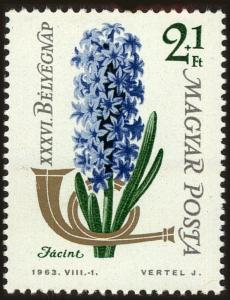 Colnect-4672-632-Common-Hyacinth-Hyacinthus-orientalis.jpg