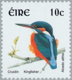 Colnect-129-889-Common-Kingfisher-Alcedo-atthis.jpg