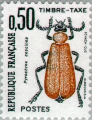 Colnect-147-062-Black-headed-Cardinal-Beetle-Pyrochroa-coccinea-.jpg