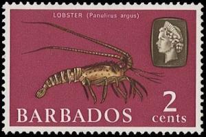 Colnect-1497-082-Caribbean-Spiny-Lobster-Panulirus-argus.jpg