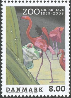 Colnect-2482-718-Caribbean-Flamingo-Phoenicopterus-ruber-Frog.jpg