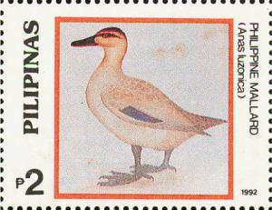 Colnect-2859-162-Philippine-Duck-Anas-luzonica.jpg