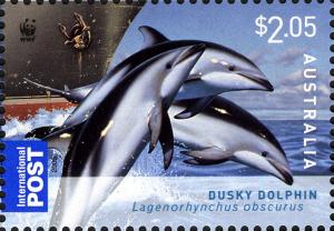 Colnect-4409-260-Dusky-Dolphin-Lagenorhynchus-obscurus-.jpg