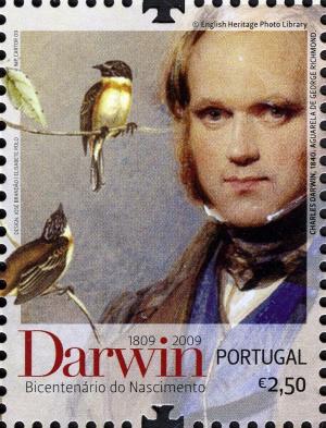 Colnect-596-596-Darwin-Finches-Camarhynchus-sp.jpg