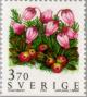 Colnect-164-855-Mountain-heath-pink-flowers-and-black-bearberry.jpg