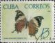 Colnect-2164-626-Cuban-Jazzy-Leafwing-Anaea-clytemnestra-iphigenia.jpg