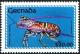 Colnect-2355-050-Caribbean-Spiny-Lobster-Panulirus-argus.jpg