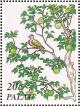 Colnect-2425-179-Palau-Fruit-dove-Ptilinopus-pelewensis-Sweet-Orange-Tree-.jpg