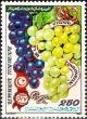 Colnect-6441-101-Grape-Vine-International-Year.jpg