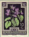 Colnect-136-225-Wild-Violets-Viola-odorata.jpg
