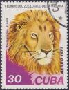 Colnect-1800-999-Lion-Panthera-leo.jpg