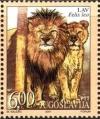 Colnect-1886-820-Lion-Panthera-leo.jpg