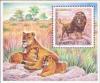 Colnect-191-795-Lion-Panthera-leo.jpg