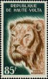 Colnect-508-193-Lion-Panthera-leo.jpg