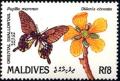 Colnect-2371-664-Great-Mormon-Papilio-memnon-Flower-Dillenia-obovata.jpg