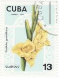 Colnect-940-682-Gladiolus-grandiflorus.jpg